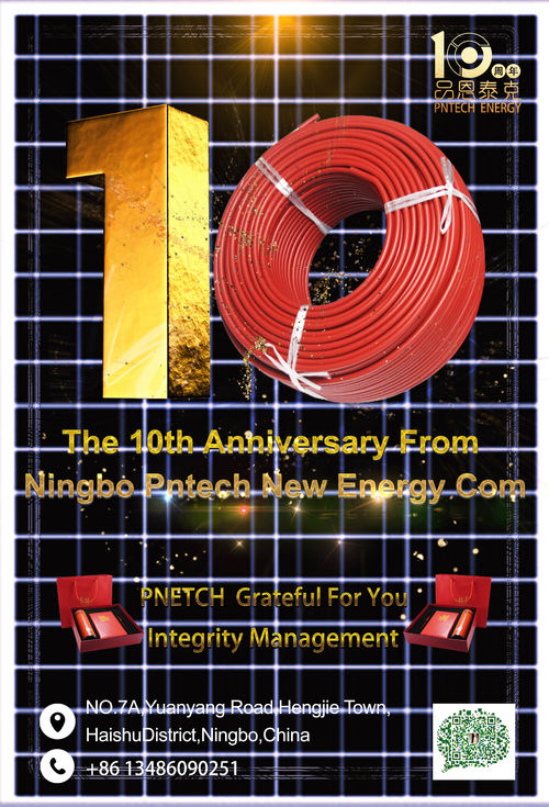 Latest company news about NIingbo PNtech'in 10. yıl dönümü